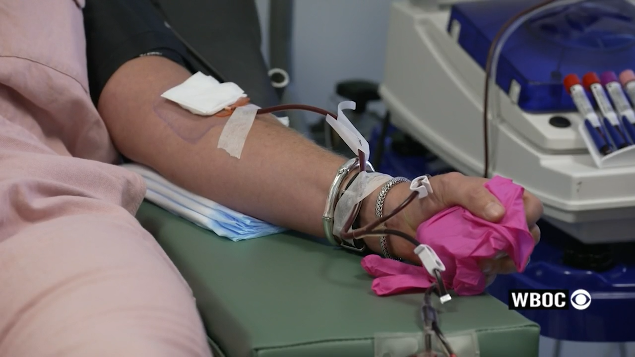 The Importance Of Plasma Donation